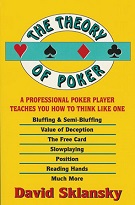 Дэвид Склански «Теория покера»