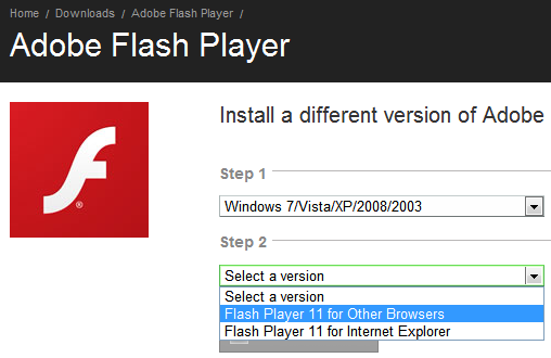 Flash player