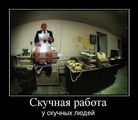 129440824035555.jpg