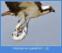 155419759452343.jpg