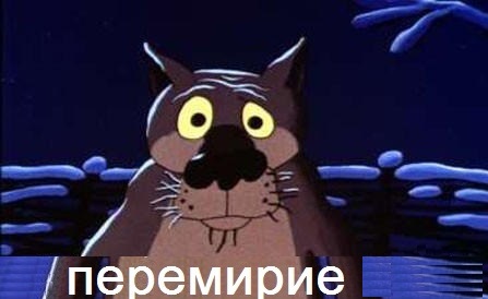 379097957016444.jpg