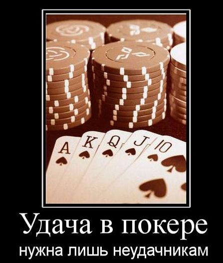 62420260859653.jpg