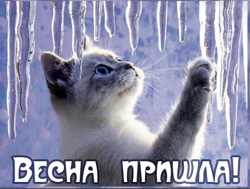 915413041133434.png