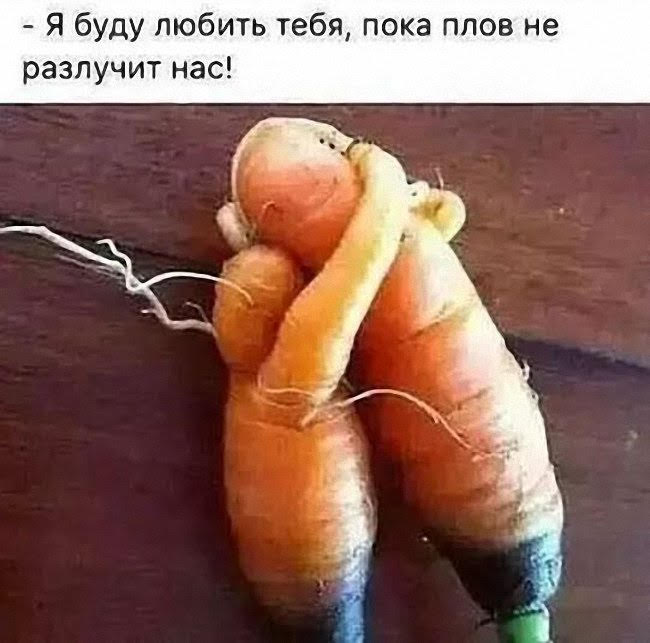 464367338298652.jpg