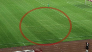 450302937974103.jpg