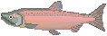 266638510394841.gif