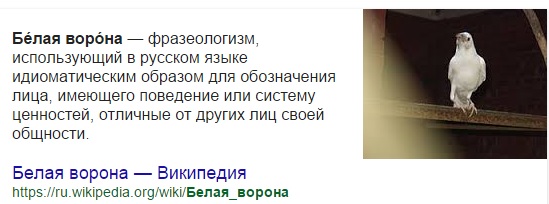 758820712799206.jpg