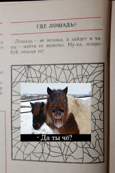 904848131437352.jpg