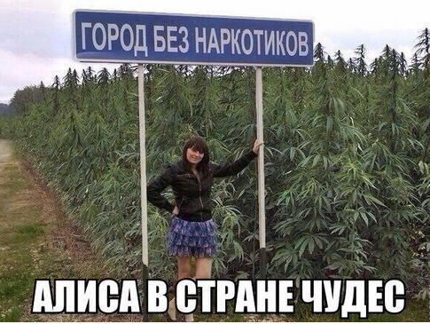937907530438041.png