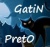 GatiN_PretO