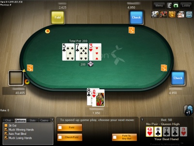 Скриншот покерной программы betsson