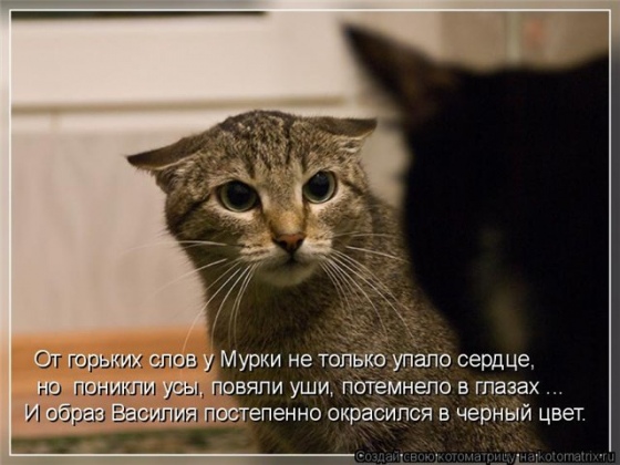 165001483168453.jpg