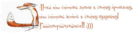384338945848867.jpg