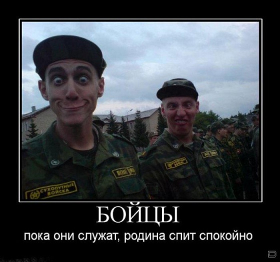 559637250611559.jpg