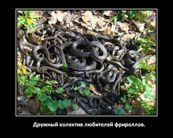 875270233489573.jpg