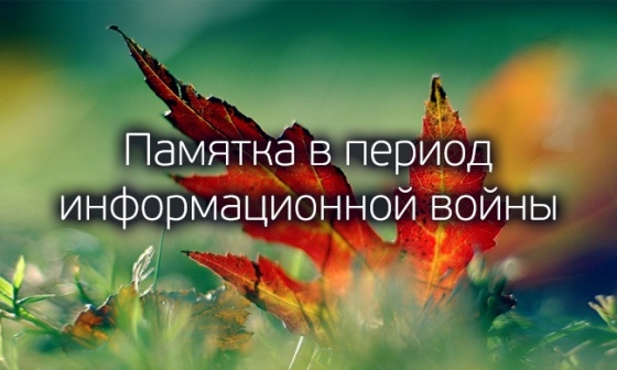 995123879052699.jpg