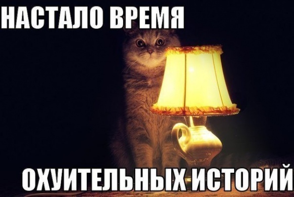 57725298212028.jpg