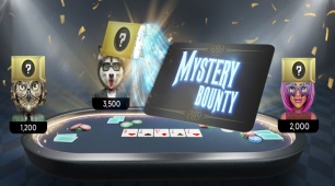 663b4f474b3fa_Mystery-Bounty.jpg