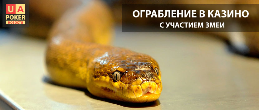 Змеиный инцидент в казино